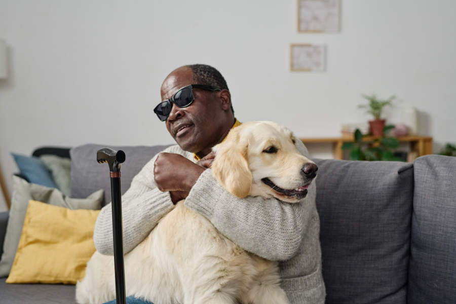 Das Bild zeigt einen blinden Mann, der einen Golden Retriever streichelt. Dieses Bild steht symbolisch für die bedingungslose Liebe, die Tiere als Teil der Schöpfung uns Menschen vorleben. 